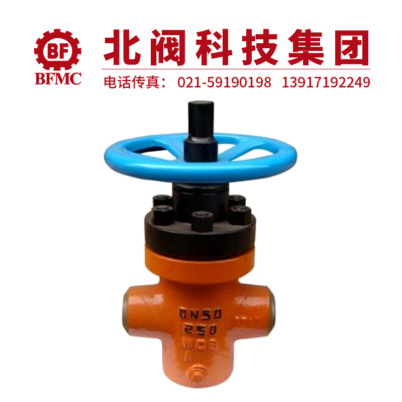 ZF63Y焊接注水平板闸阀22.jpg