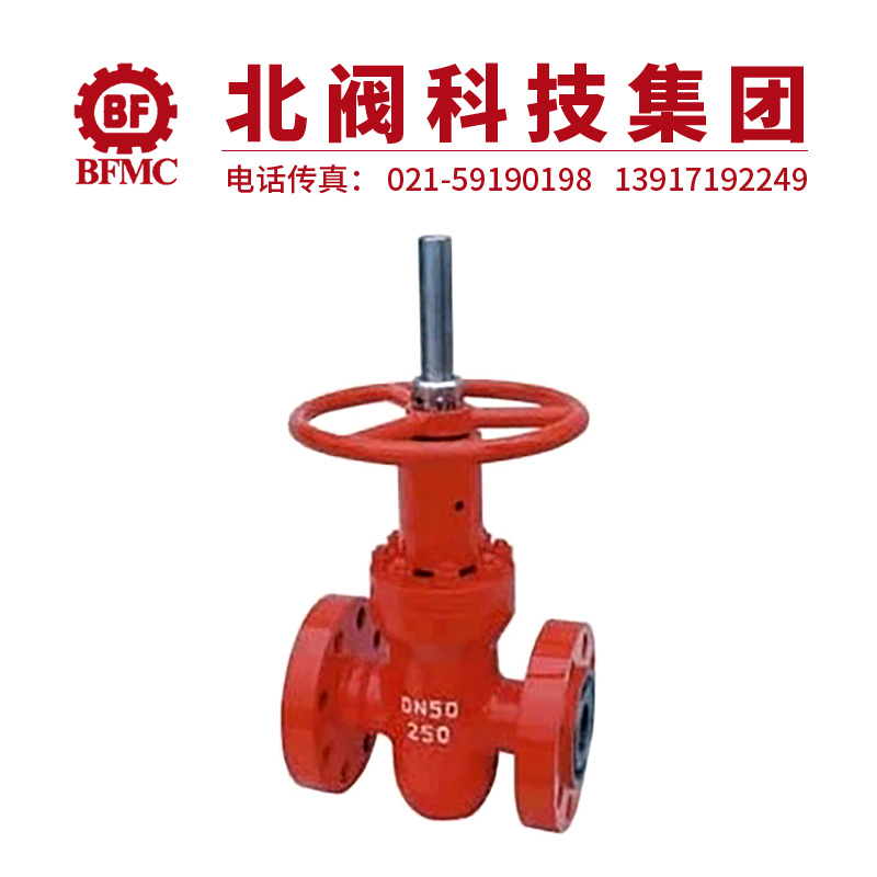 ZF43Y高压注水平板闸阀22.jpg