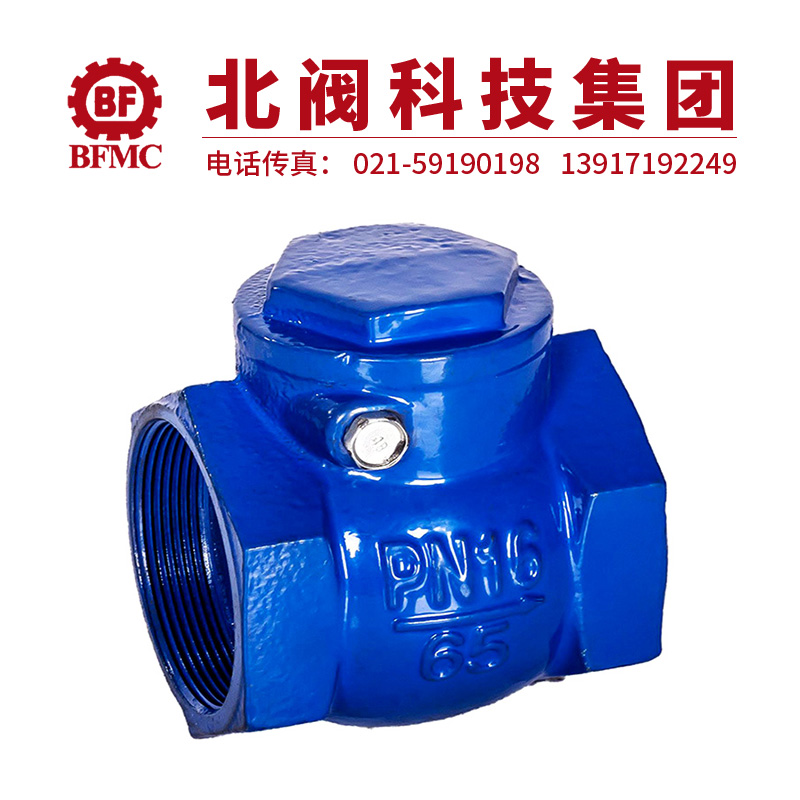 H14X-16Q丝扣旋启式止回阀22.jpg